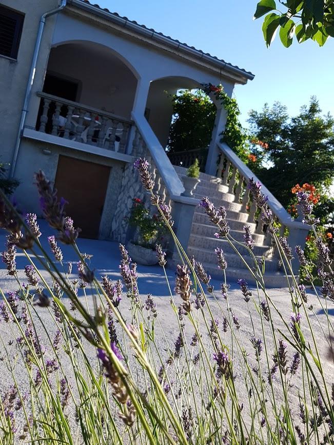 Maslina Apartment Jadrtovac Zewnętrze zdjęcie