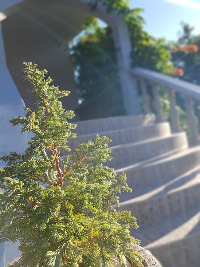 Maslina Apartment Jadrtovac Zewnętrze zdjęcie