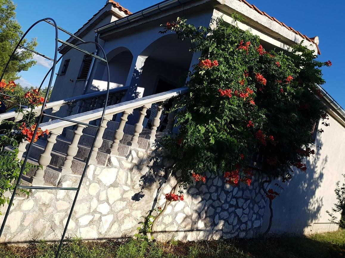 Maslina Apartment Jadrtovac Zewnętrze zdjęcie